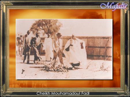 cheikh mouhamadoul fadl