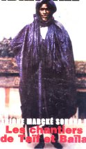 cheikh ibrahima fall